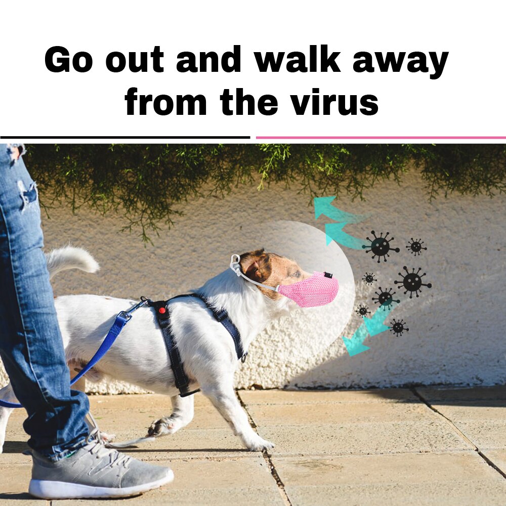 Oddychająca siatkowa maska psa przeciwkurzowe zanieczyszczenia gazowe kaganiec przeciwmgielne maski zmywalne regulowane dla psów