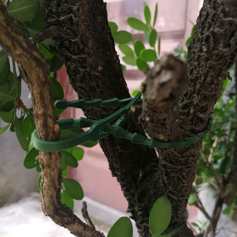 Abraçadeiras de plástico ajustáveis para plantas, reutilizáveis, para jardim, plantas, videira, árvores, arbustos, suporte, prendedor, anéis de envoltório