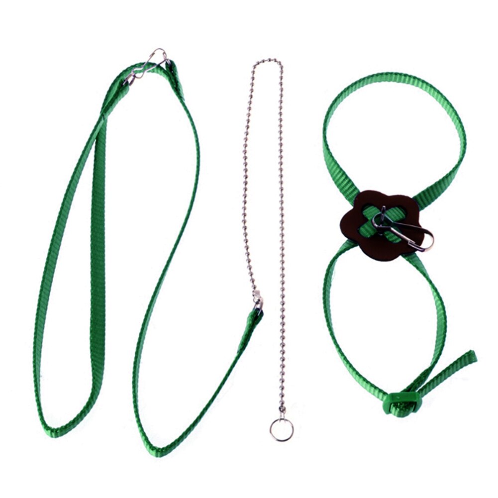 Arnés para exteriores para loros, correa ajustable, cuerda de entrenamiento, banda antimordida para pájaros y mascotas,: Dark Green