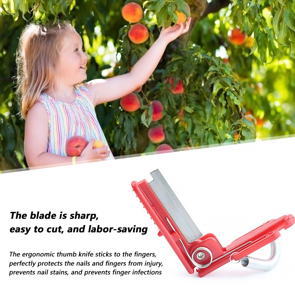 2pcs Vegetable Fruit Harvesting Picking Tool Garden Separator Fruit Picking Tool for Farm Garden Orchard