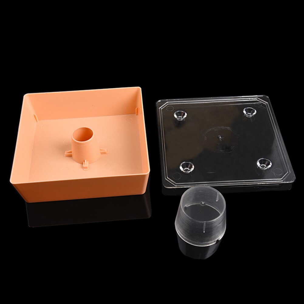 Alimentador de entrada, colmena de plástico, agujero pequeño, portátil, para agua potable, duradero, jardín, granja, Herramientas de apicultura superior cuadrada, fácil de instalar