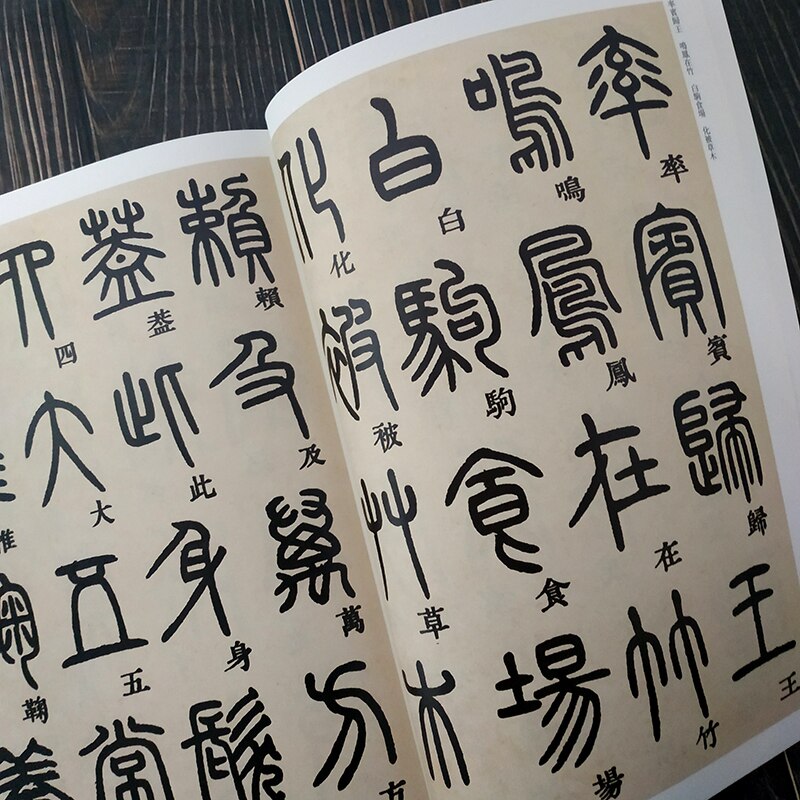 Deng Shiru Seal Script Kalligrafie Collectie Schrift Chinese Classics Inscriptie Oude Proza Kleur Vergroot Praktijk Boek