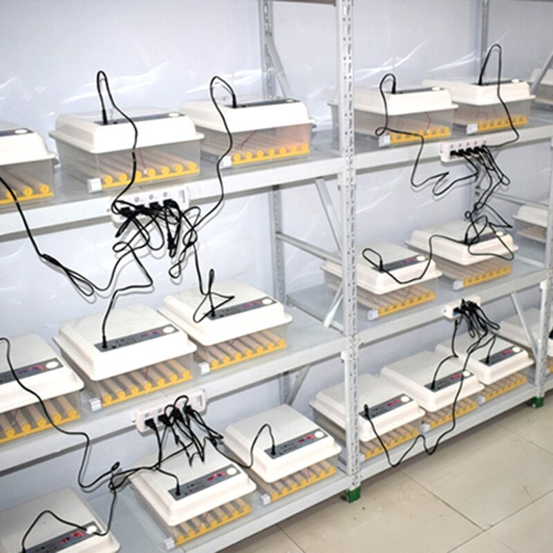 Incubadora automática de 9 huevos, termostato de incubación de aves con pantalla Digital, herramienta de incubación de granja