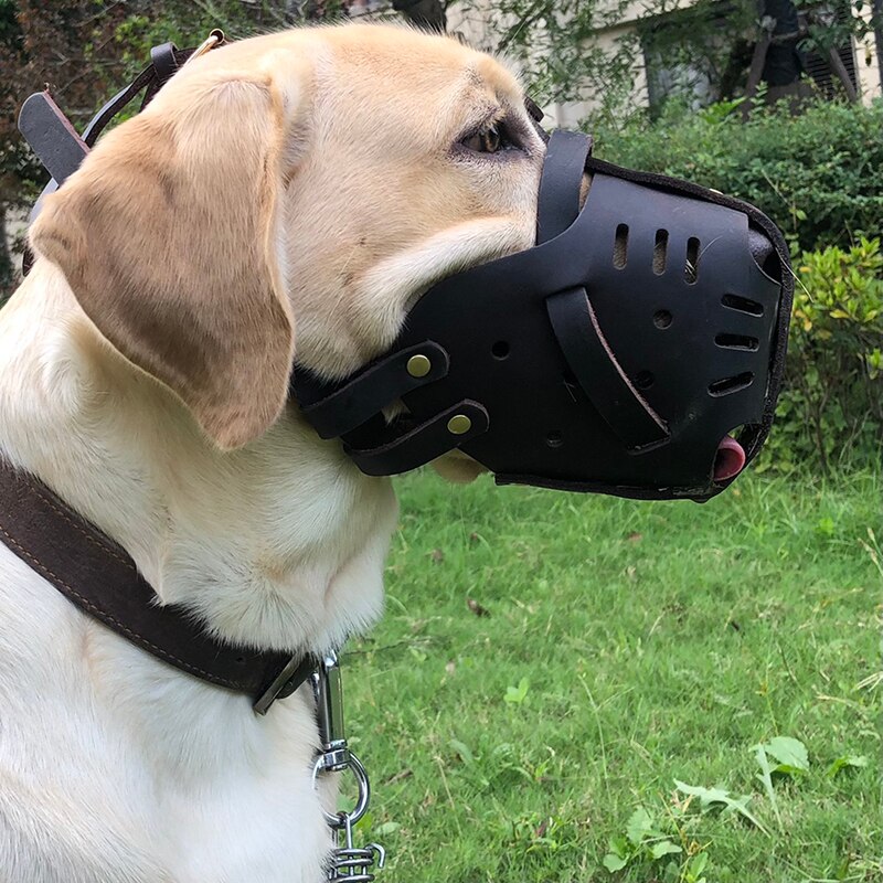 Basket Muzzle For Bulldog Muzzle German Shepherd Muzzle Dog Muzzle To Stop Eating Everything Homemade Dog Muzzle For Barking