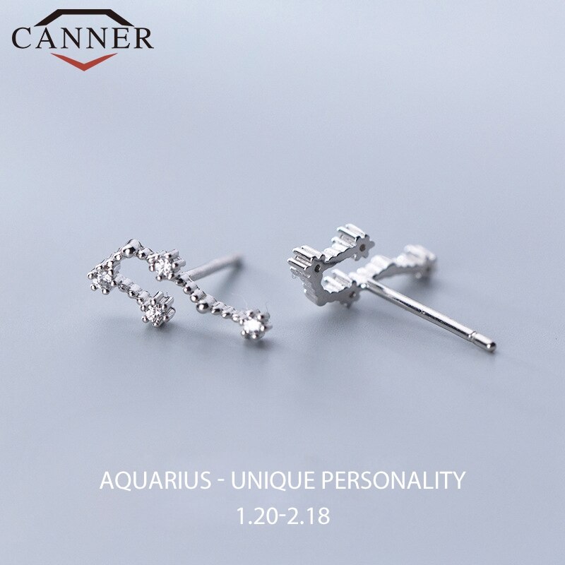 12 konstellation Kleine Frische Minimalistischen CZ Zirkon Ohrringe für Frauen 925 Sterling silber nette Stud Ohrringe Geburtstag: Aquarius