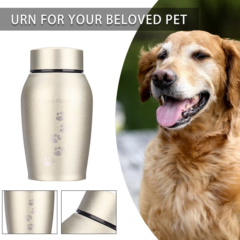 Urnes en acier inoxydable pour animaux de compagnie, 250ML, pour chiens, chats, oiseaux, souris, cendres de crémation, souvenir, dortoir