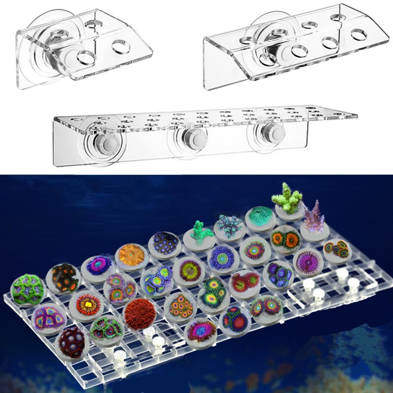 Koralbeslag .sps stik. akryl akvarium saltvand havvand sps koral frag huller beslag akvarium marine tank koral holder