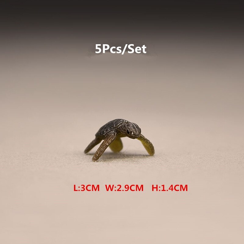 5Pcs/Set Mini Plastic Model Sand Table Toys Mini Turtle Model Ornaments