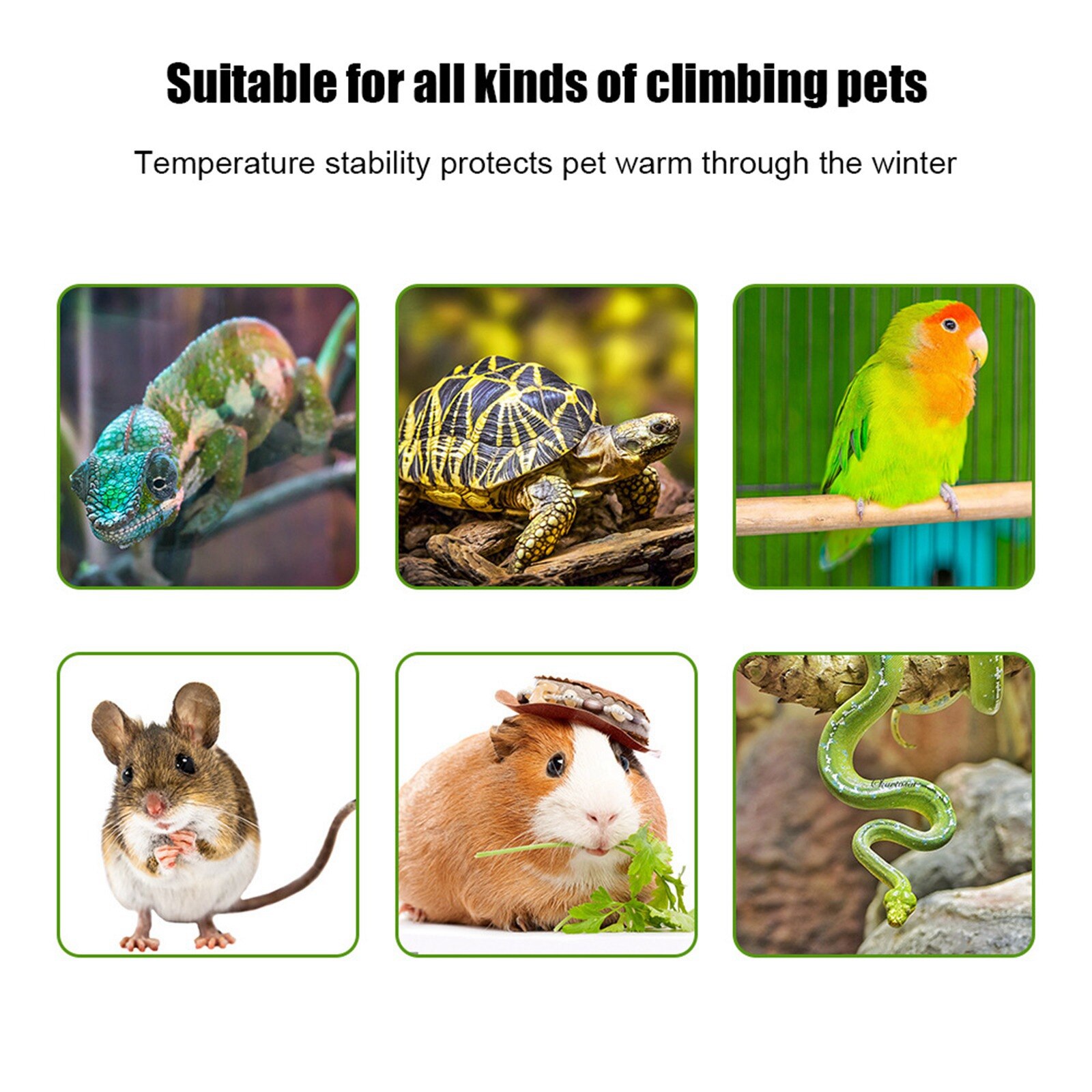 Reptiel Warmte Lampen Met Beschermhoes Keramische Warmte Lamp Met Anti-Brandwonden Kooi Reptiel Heater Lamp Terrarium Verlichting