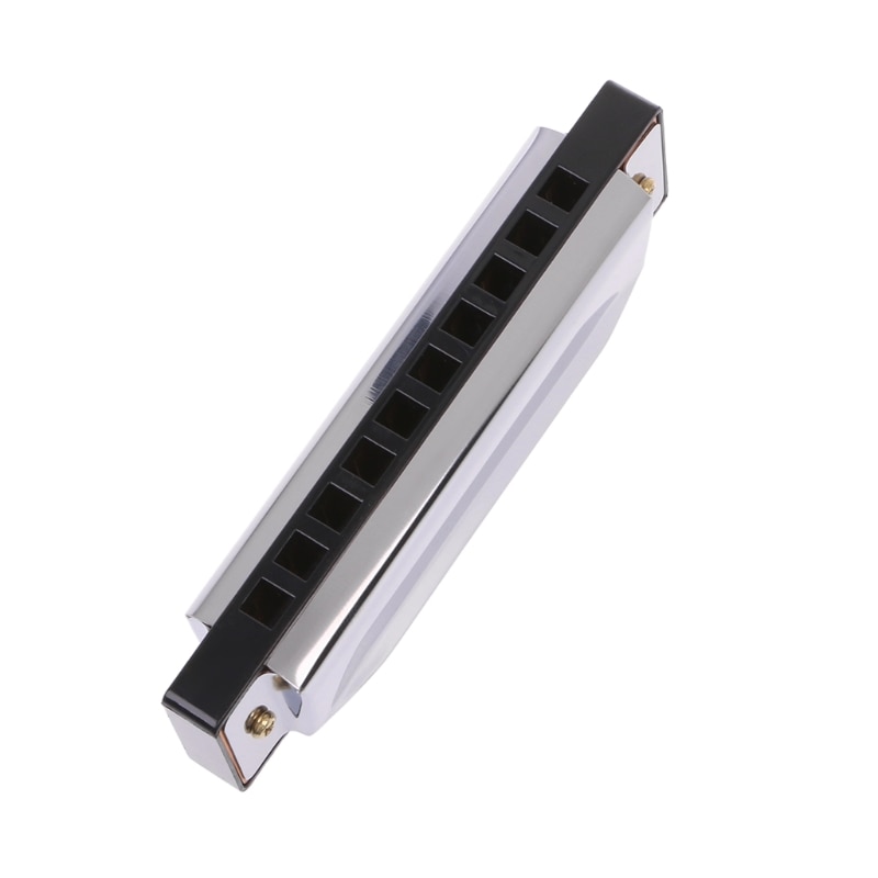 Blues Harmonica 10 Holes Key of C Musical Instrument Stainless Steel with Case