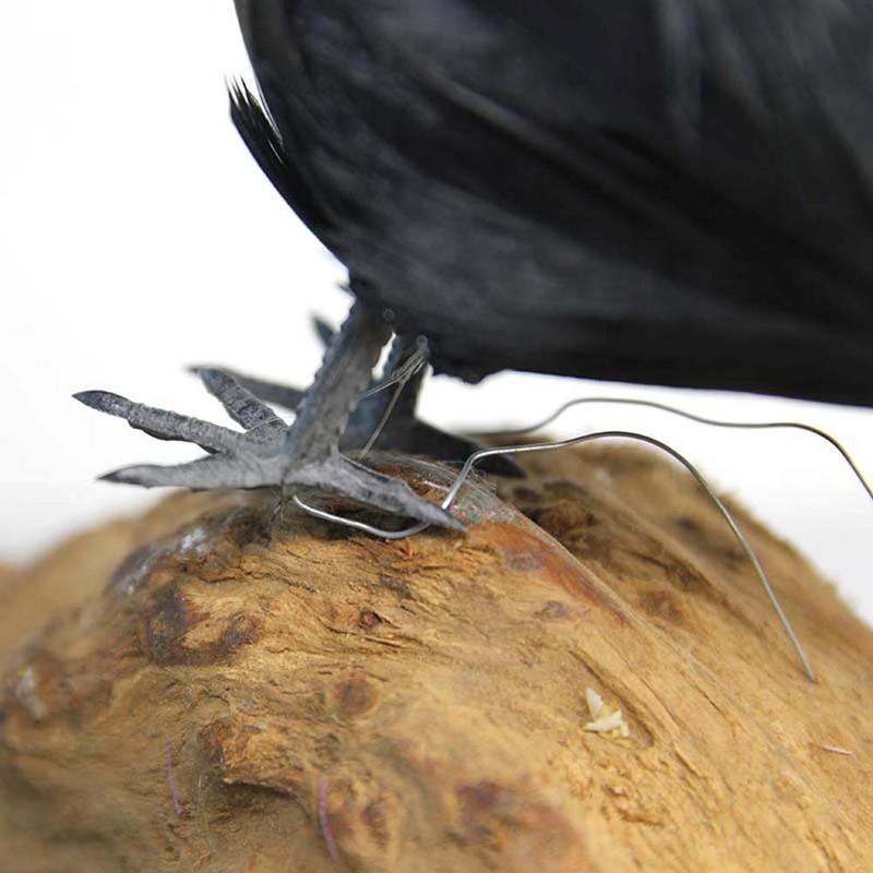 Halloween High-end Simulated Crow Props Halloween Decoration Farm Garden Raven Bird Repellent Ornaments Prop Decor