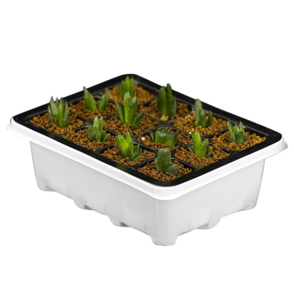 12 Cells Hole Seeds Nursery Pots Grow Box Seeding Box Holder Cloning Insert Propagation Nursery Pots Planter Box: White