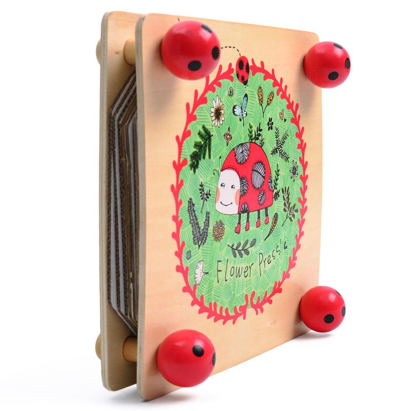 MD0071 MiDeer Kid Flower and Leaf Press Nature Craft Happy Time Wooden Art Outdoor Play Learning Educational Toy for kid