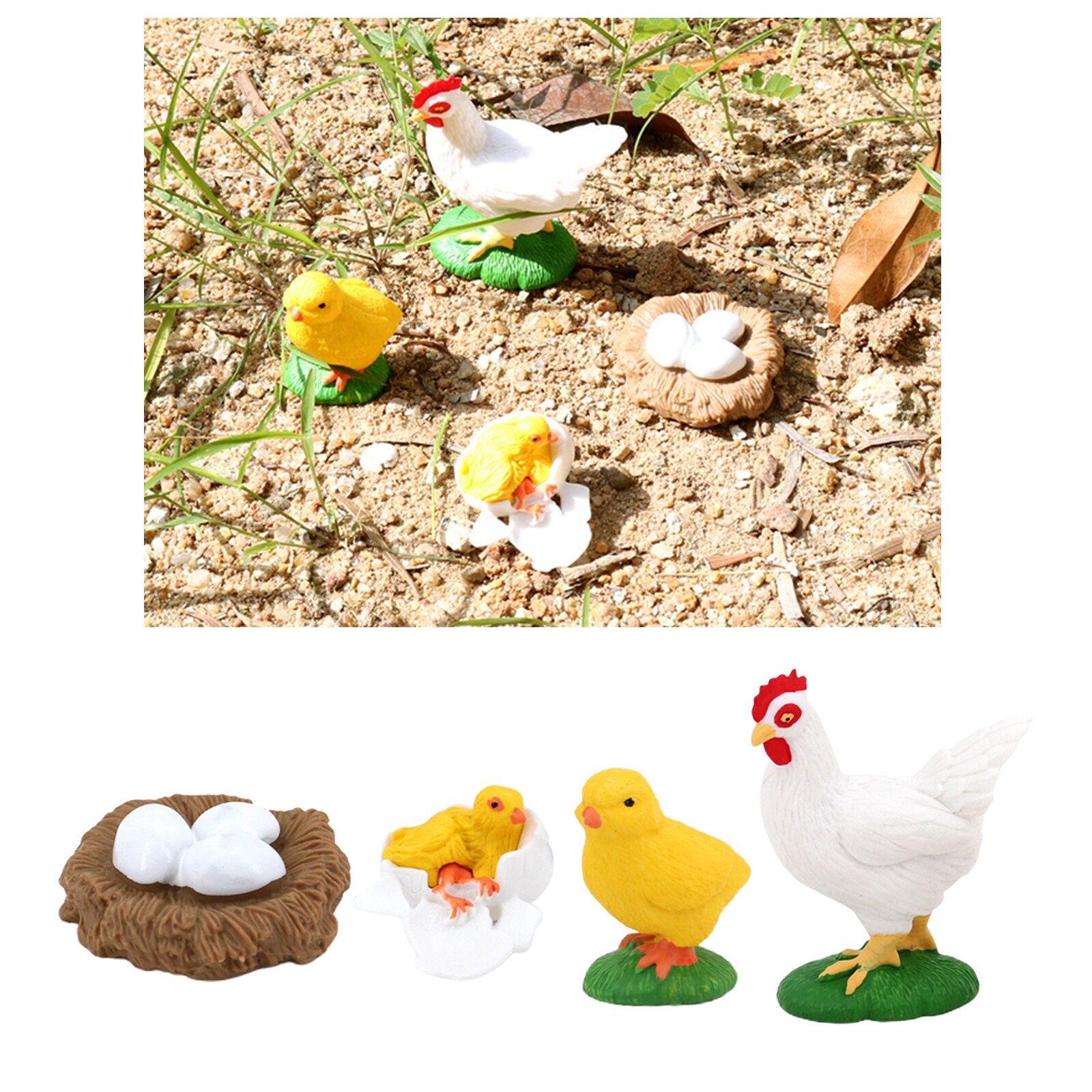 Insect Hen Chick Lore Animal Life Cycle - 4 Pcs Insect Figure Shows Life of Lady Bug