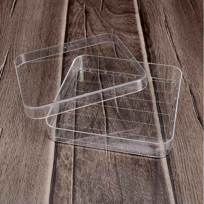10Pcs Clear 10*10Cm Geschaald Vierkante Plastic Petrischaal Met Deksel, Cultuur Schotel