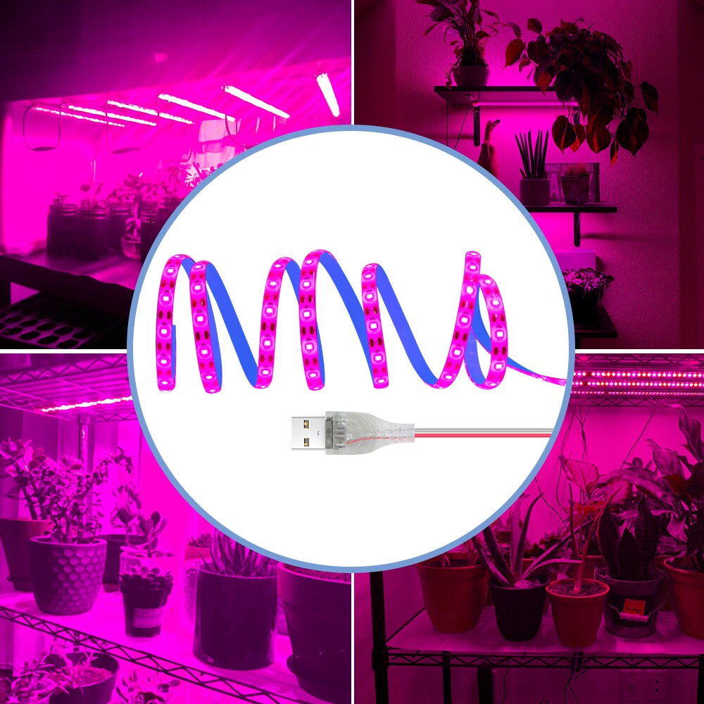Led Volledige Spectrum Plant Lamp 5V Usb Licht Groeien Strip 0.5M 1M 2Mm 3M Kas hydrocultuur Voor Bloem Zaden Groei Verlichting 2835