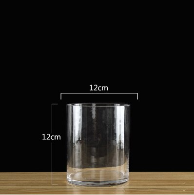 Simplicity Transparent Clear Tabletop Tall Glass Vase Bottle Terrarium Hydroponic Container Pot Flower Home Wedding Decor: 12x12cm