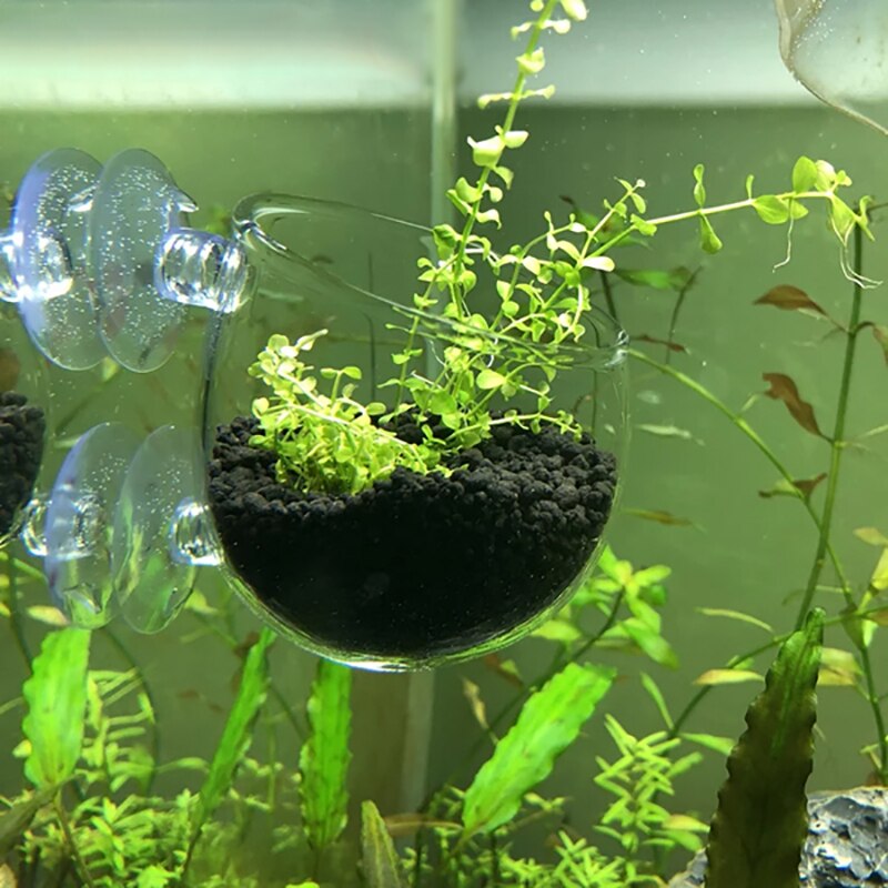 Aquarium CO2 Diffusor CO2 Zerstäuber Aquarium Glas Aquatische Veredler Dichten blasiert Wasser Pflanzen Panzer Zerstäuber mit Saugnapf: 03