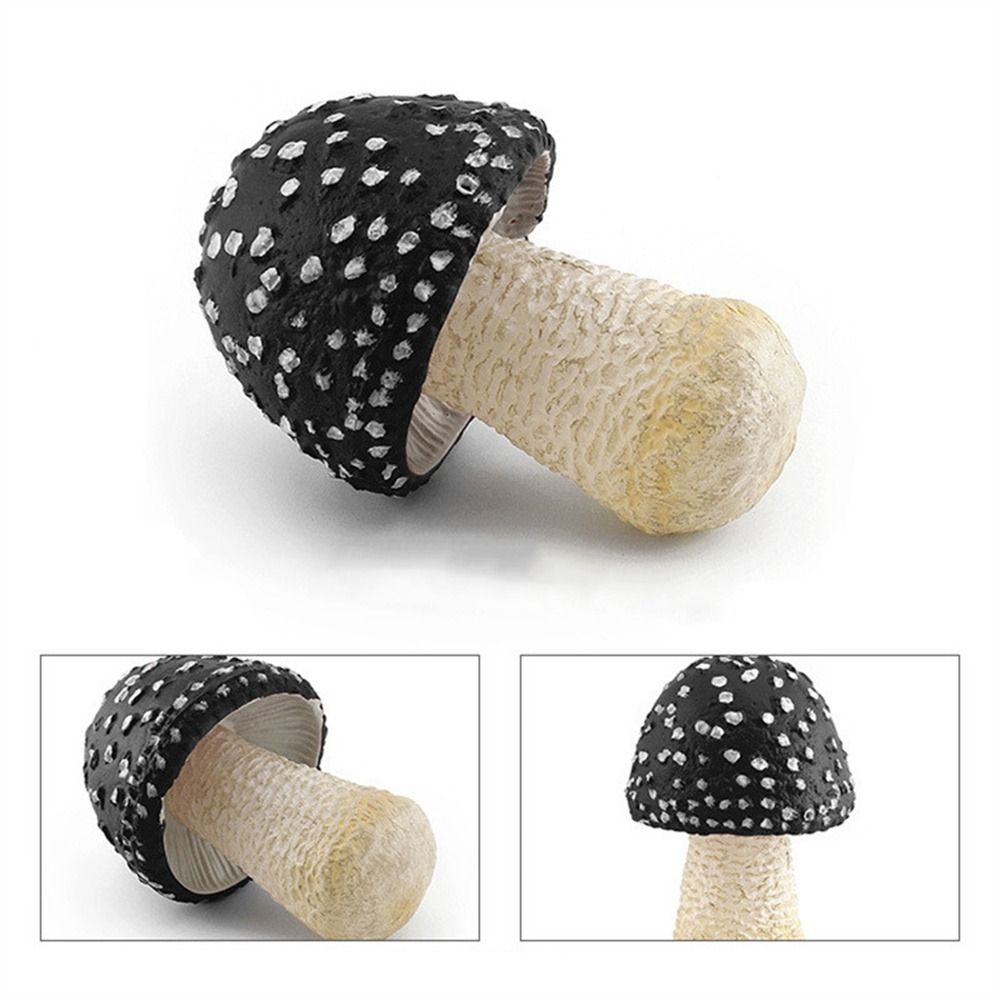 Modelo de vegetales, figuras de hongos, miniaturas de paisaje, Matsutake Oyste, simulación de hongos, planta, modelo de hongos artificiales: Gris oscuro