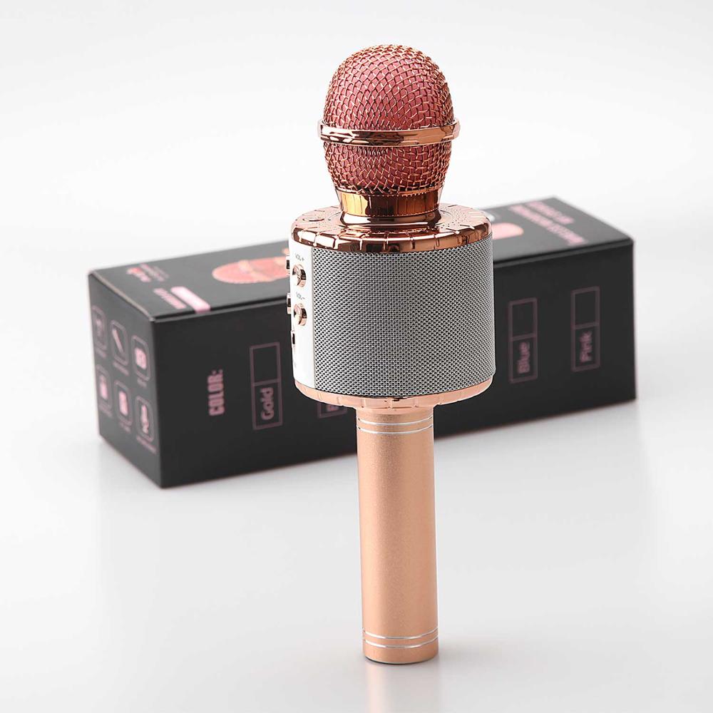 Microfono Con Cassa Wireless Bluetooth Per Karaoke - Con Eco E Porta USB, Modello WS-858