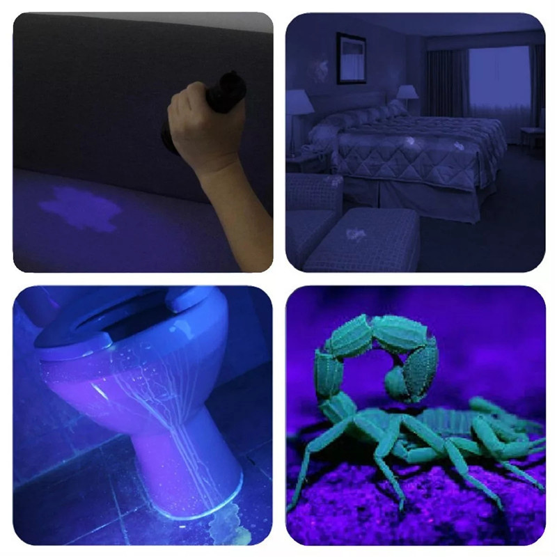 Linterna ultravioleta UV de 21 LED, luz negra de 395NM, Mini linterna de Flash para manchas de orina de mascotas, linternas portátiles de luz negra