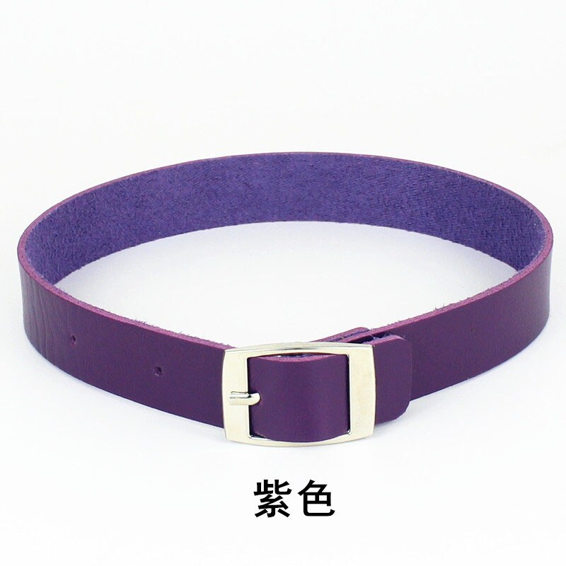 Necklace For Women's Neck Sweetheart Harajuku Punk Rock And Roll Leather Collar: Purple