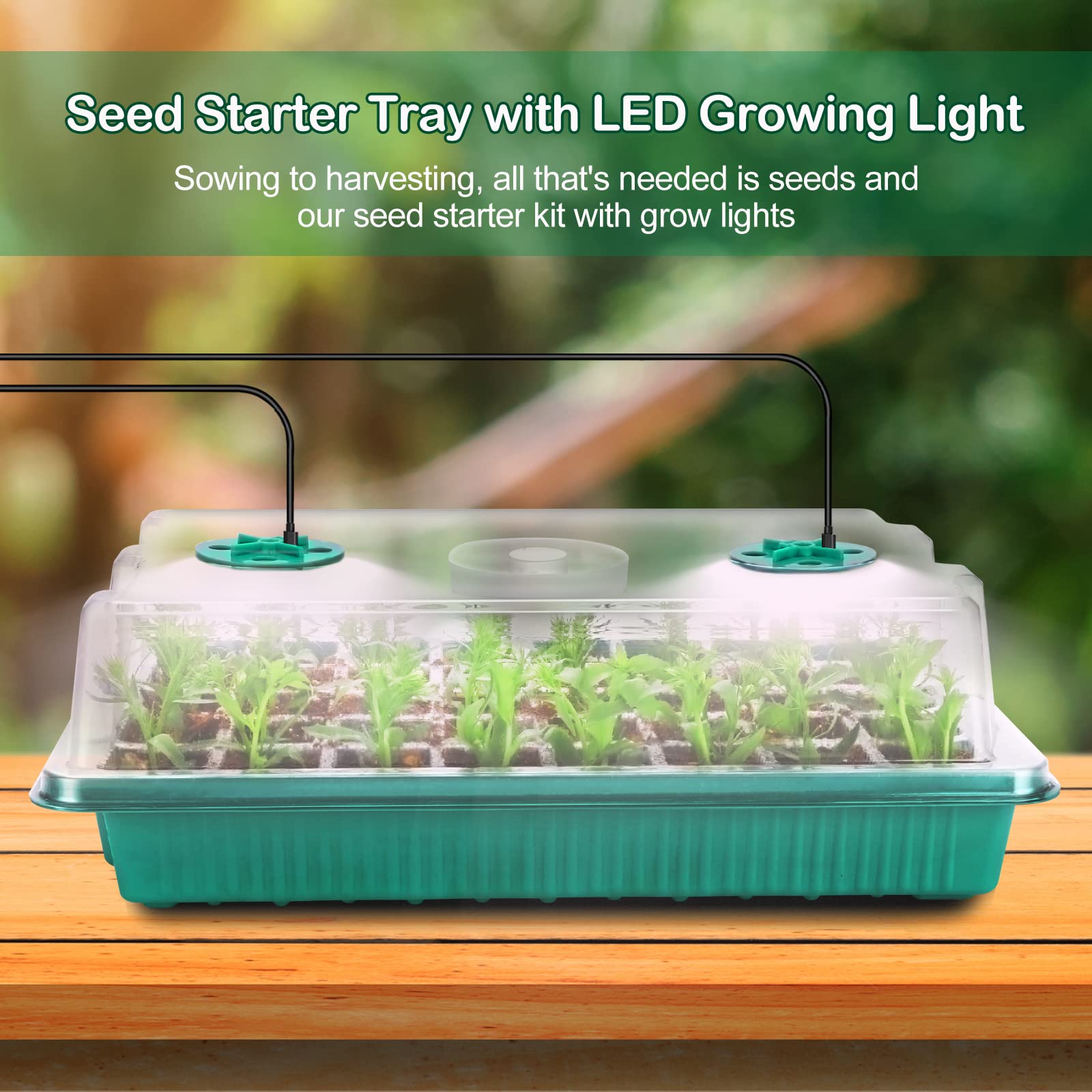 Newest Seed Starter Kit Seedling Starter Trays with Grow Light Adjustable Indoor Gardening Plant Germination Kit