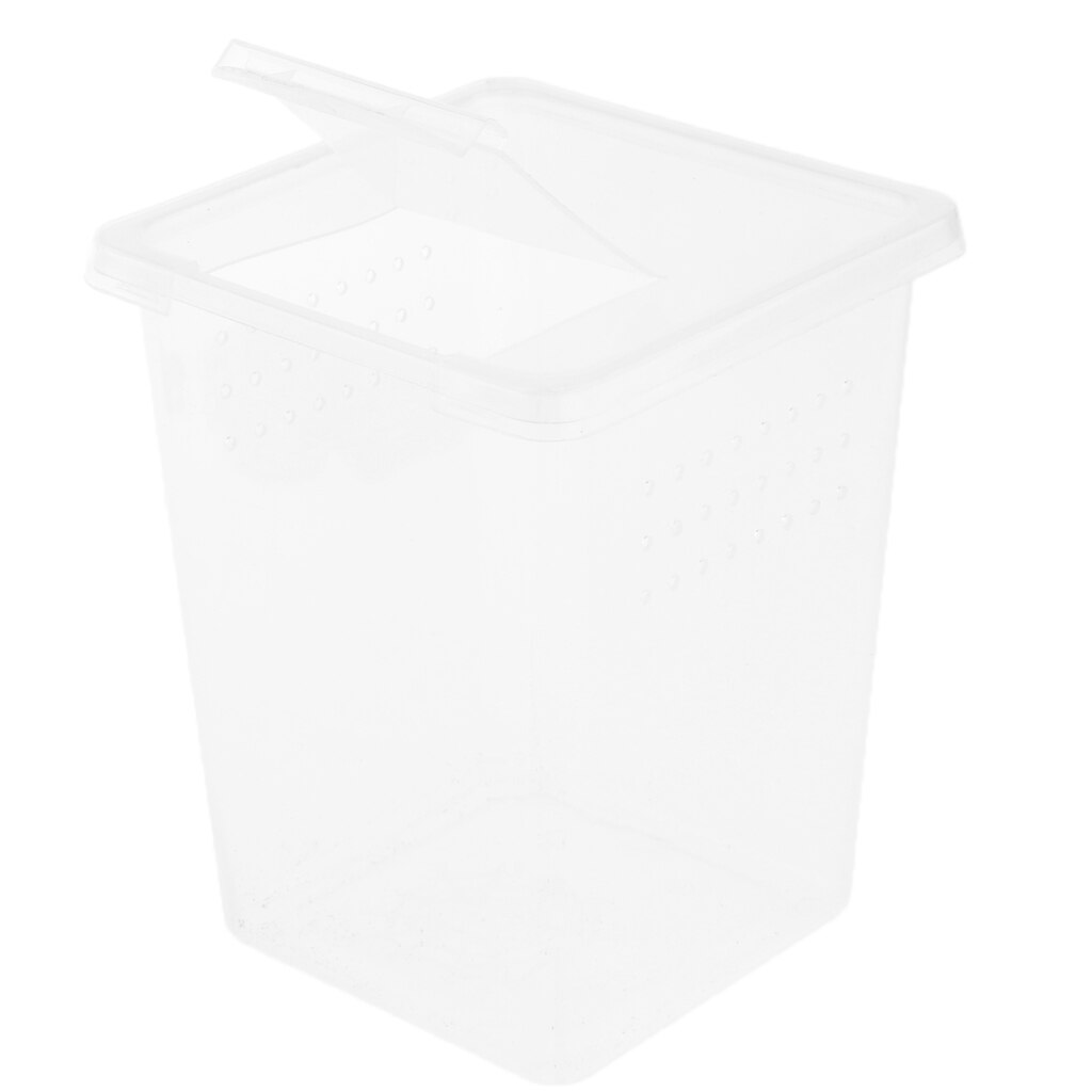 Genomskinlig plast insekt groda spindel livsmiljö foderlåda fodral behållare 8 x 8 x 11cm