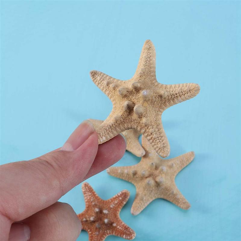 4Pcs Sea Star Carfts Decoratie Diy Strand Huisje Decor Zee Shell Voor Bruiloft Fotografie Party Home Decoratie (4-6Cm)