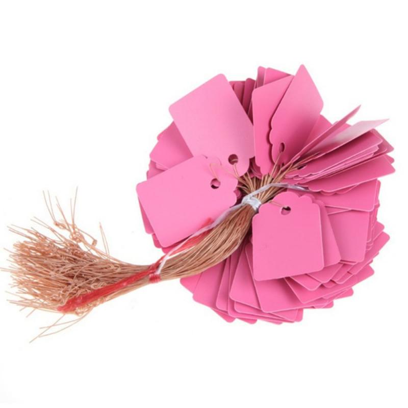 100pcs Reusable Plants Hang Tag Labels And Brands Seedling Garden