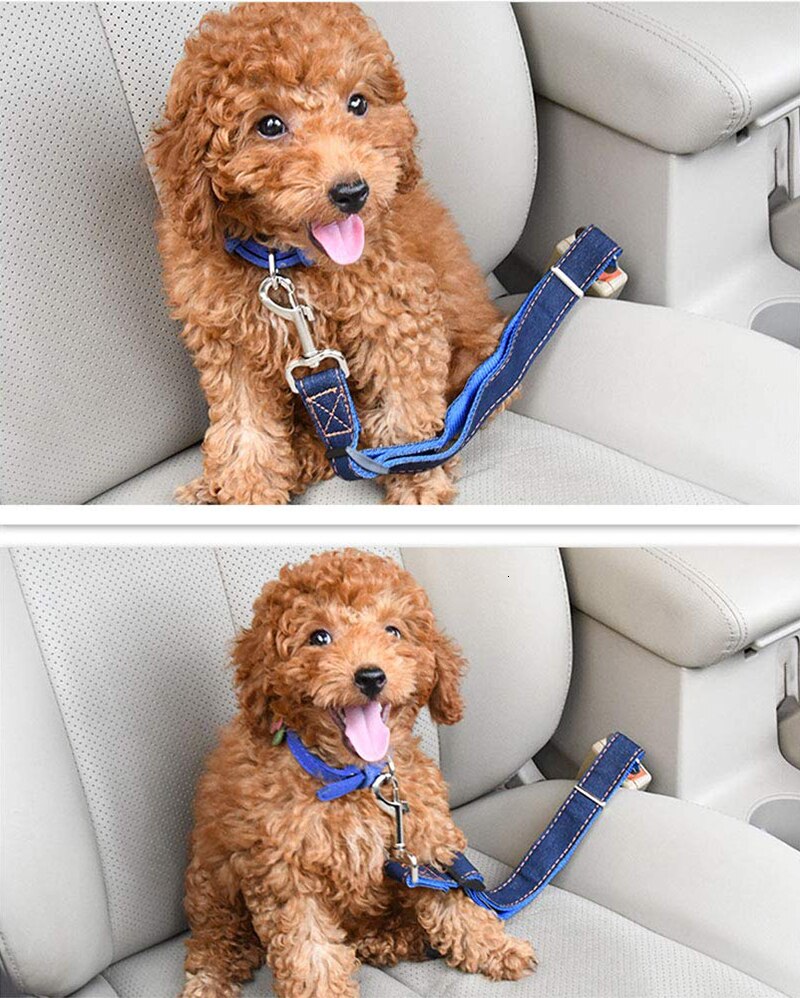 Verstelbare Hond Autogordel Duurzaam Comfortabele Huisdier Veiligheid Riem Voor Kleine Medium Grote Honden Fit Alle Auto 'S