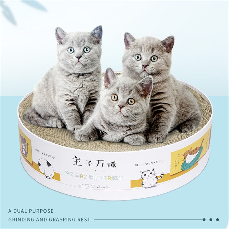 Katze Runde Gut Papier kratzen Gremium Bett matt Kätzchen Katzenminze Scratcher Krallen Pflege Schleifen NäGel Haustier Katze Kratzen Karton