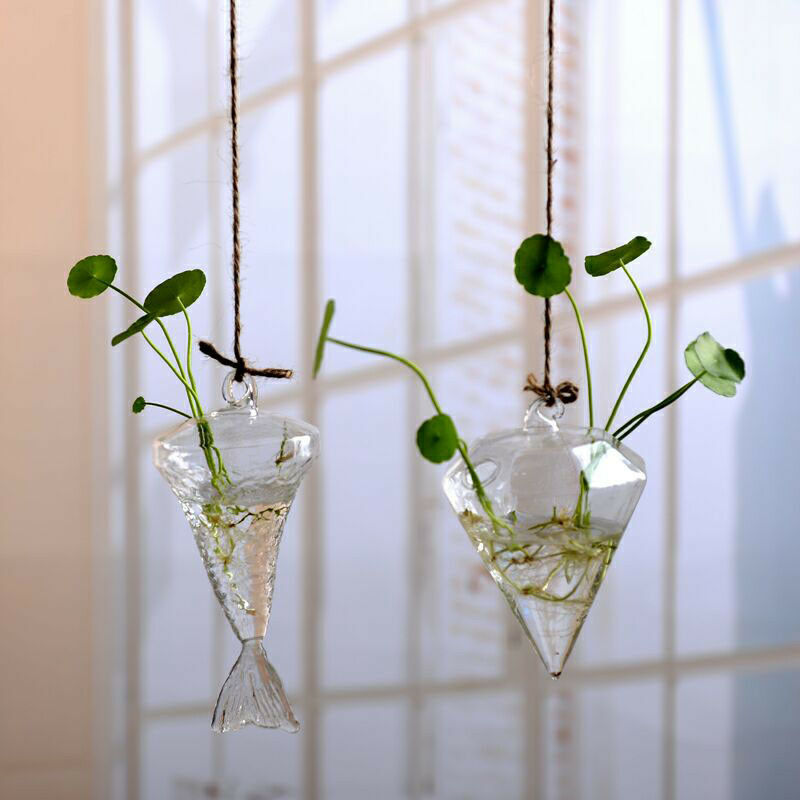 Wall Hanging Light Bulb Glass Vase Flower Plant Terrarium Container Home Decor