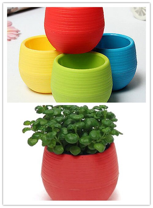 Nyeste søde mini farverige rund plastik plante urtepotte have hjemmekontor indretning planter