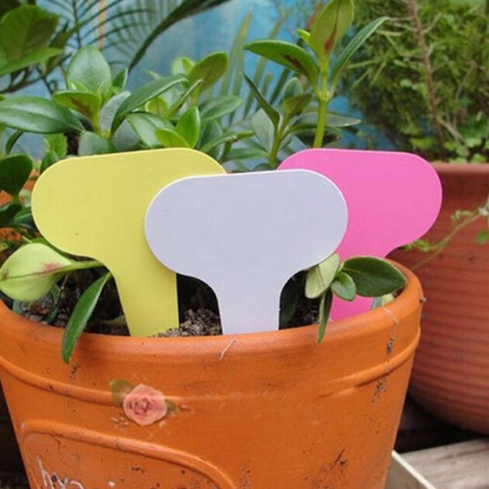 100 st plast t-typ trädgårdsmärken ornament växt blomma etikett plantskola tjocka tag markörer för växter trädgård dekoration