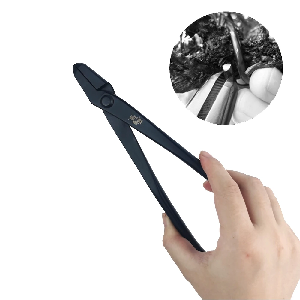 Strumento per potatura bonsai Cesoie per filo da giardino Frese estese Forbici in acciaio legato Strumenti per potatura da giardino domestico Combinati selezionati: Oro