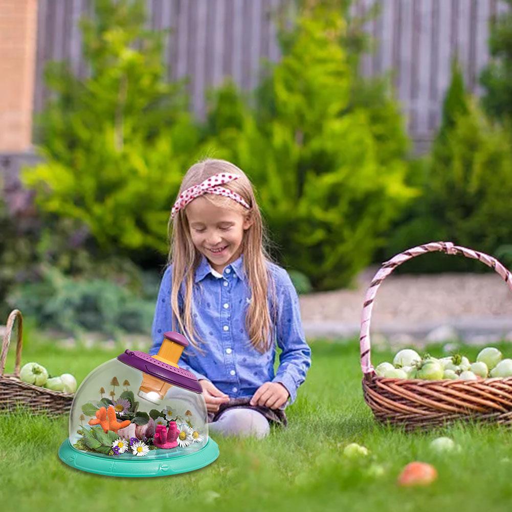 Small fish tank acrylic fish tank No-need Change Water Lazy Mini Fighting Fish Tank USB Standard Configuration Transparent