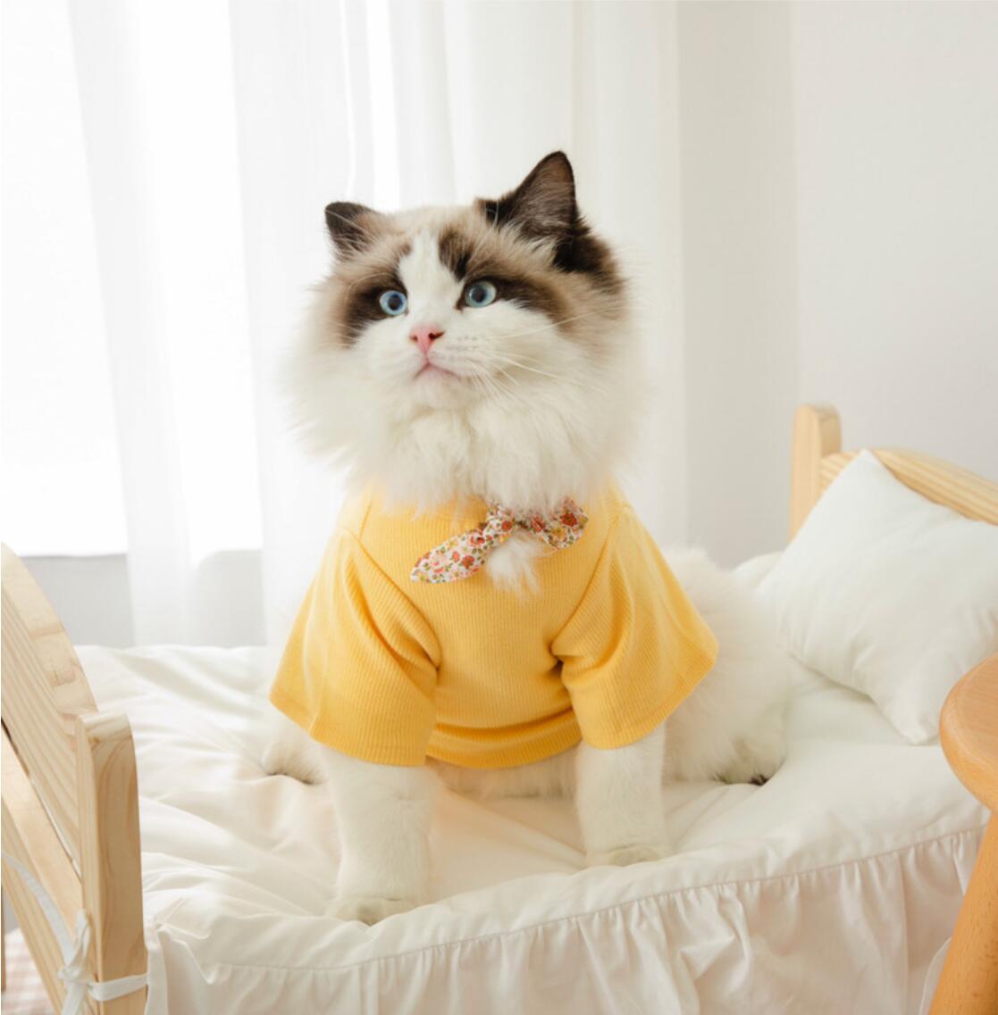Pet Kleidung für Kleine Katzen Hunde Baumwolle Katze Kostüme Weichen Kätzchen Kitty Mantel Jacke Welpen Outfit
