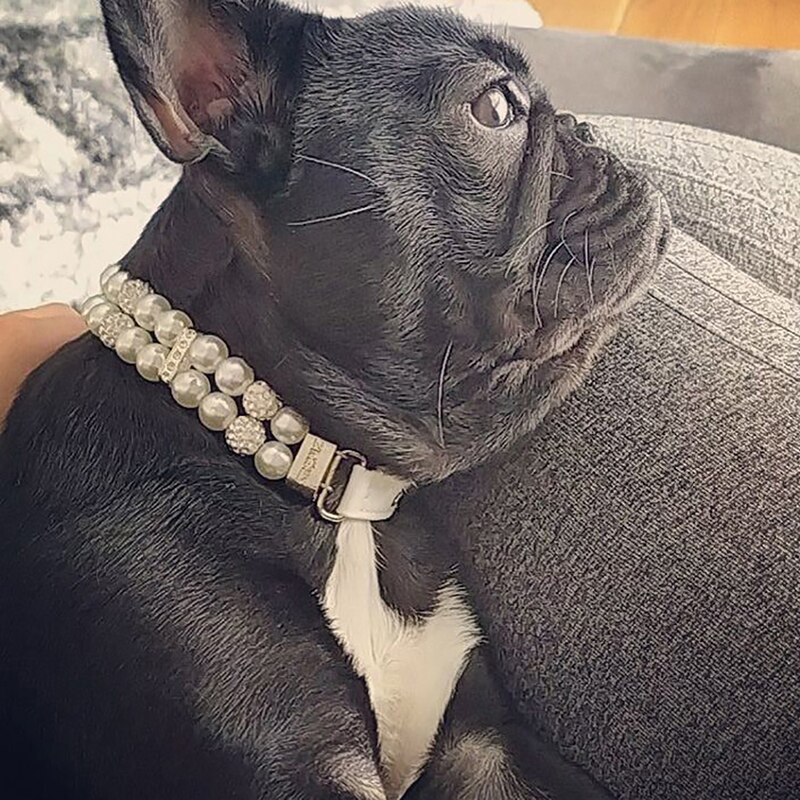 Hundehalsbånd kunstige perler pigghalsbånd kjæledyrhalsbånd justerbart skinnhalsbånd for liten hund