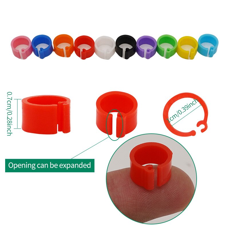 100Pcs 11Colors Birds Feet Rings Inner Diameter 8Mm Width 7Mm Plastic Clip Ring Pigeon Dove Quail Foot Ring Farm Animal Carrier