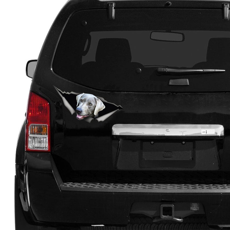 Calcomanía de plata para perro, pegatina de laboratorio de plata, imán para perro, para portátil