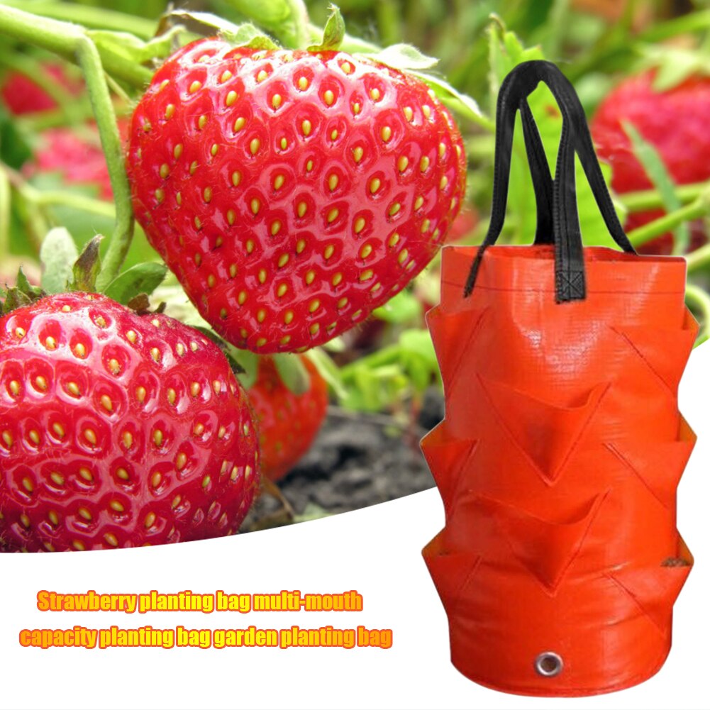 Garden Planting Bags 3 Gallons Strawberry Tomato Carrot Reusable Multi-mouth Vertical Flower Herb Planter Pot Hanging Grow Bags