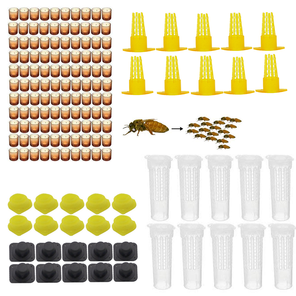 Kit completo de cría de abejas reina, sistema de protección, jaulas de cubierta, celdas, Base, herramientas de plástico, suministros de apicultura, 1 Juego
