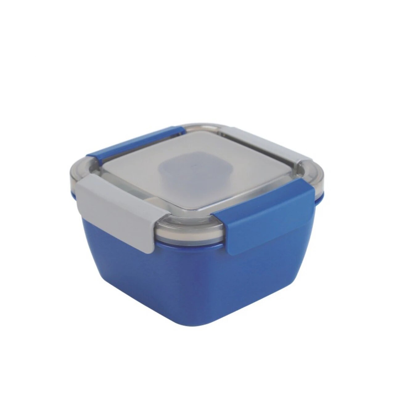 1100 ml/1500 ml Draagbare Lunchbox Container 2 Layer Raster Slakom Bento Dozen Slakommen Lunchbox lunch Container voor Voedsel: Blauw / 625 ml