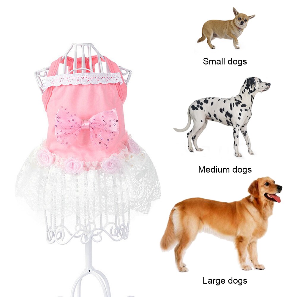 Huisdier kat hondenkleding kleine hond kat prinses kant kleding jurk rok zomer kostuum voor teddy huisdier prinses jurk rok