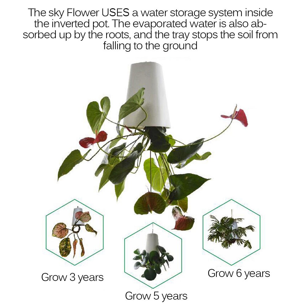 Sky Garden Flower Pot Inverted Aerial Plastic Hanging Pot Orchid Pot Upside Down Small Flower Pot Inverted Planter