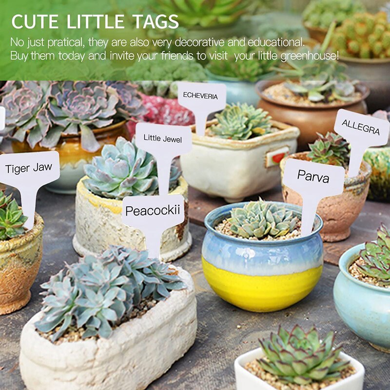 T-Shaped Ground Insert Label Gardening Label Gardening Plant Classification Label Plastic Label Nursery Tray Classification