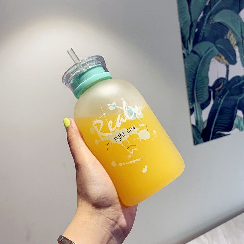 450ml bouteille en verre dessin animé givré/Transparent bouteilles d'eau BPA gratuit étanche Drinkware simplicité étudiant tasse