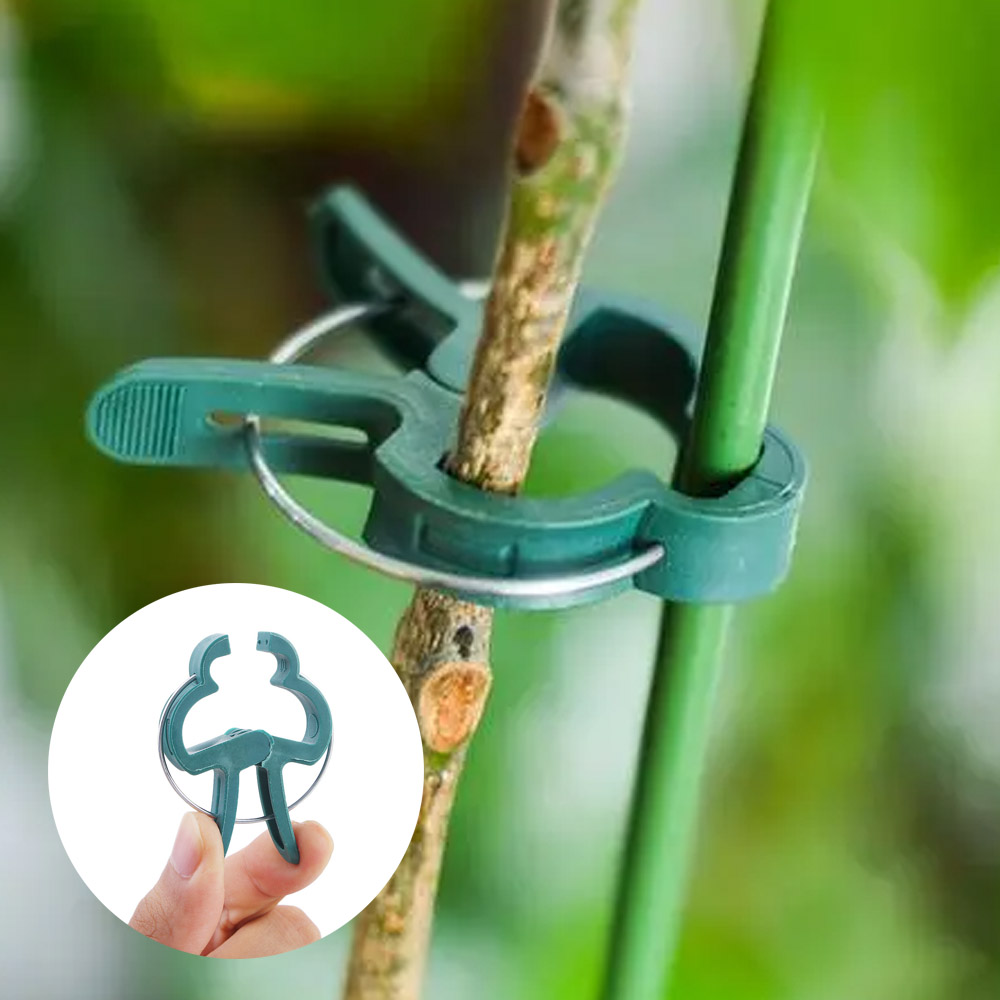 20Pcs Groene Tuin Plant Vaste Clips Voor Greenhous Groenten Bloemen Stem Wijnstokken Druif Klem Ondersteuning Rechtzetten Stengels