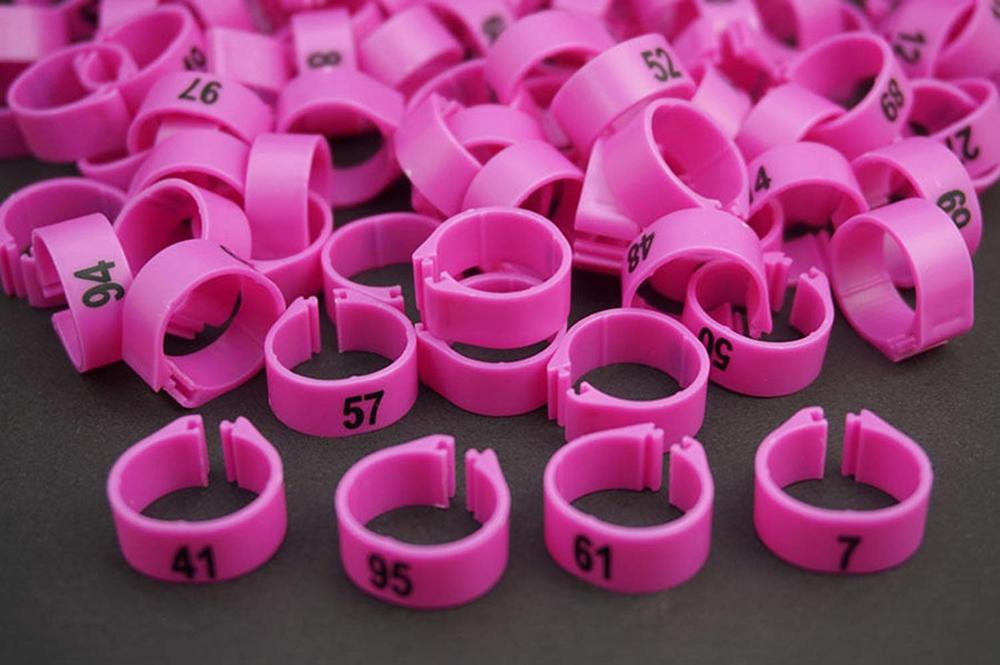 (Pack of 100 Pcs) ，(14mm) Bird Leg Bands Pigeon Chicks Duck Goose Parrot Bantam Poultry Pet Rings ，1-100 Numbered，Pink